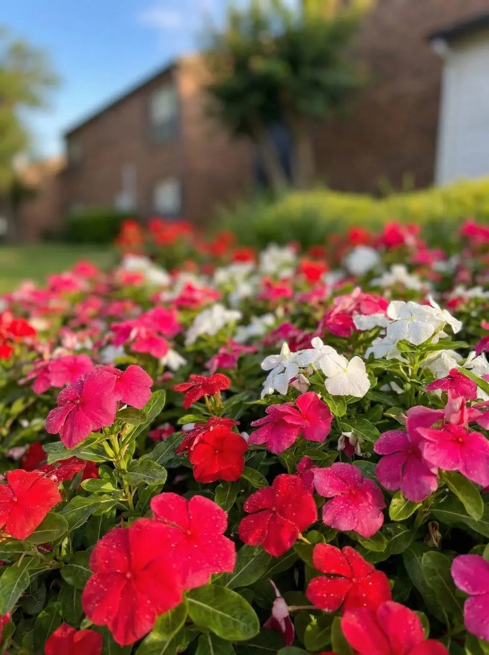 Is Your Property Ready for Spring?