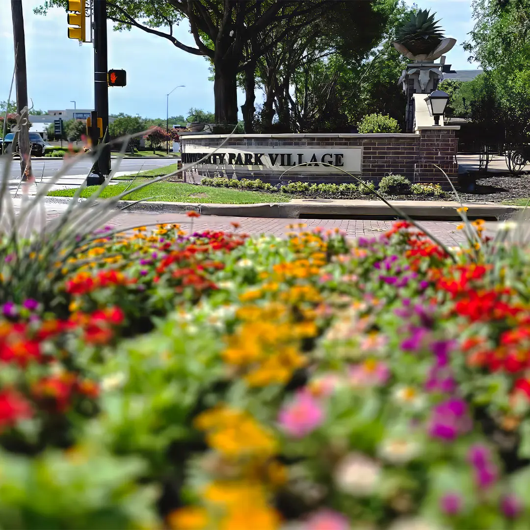 Untitled-1Artboard 1