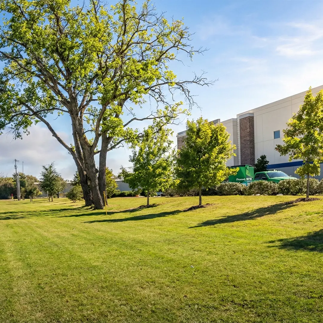 Untitled-1Artboard 6