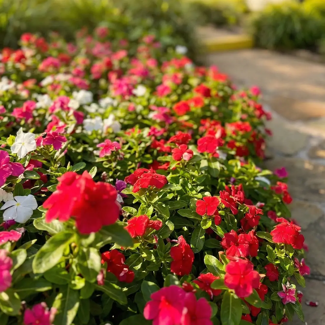 Untitled-1Artboard 9