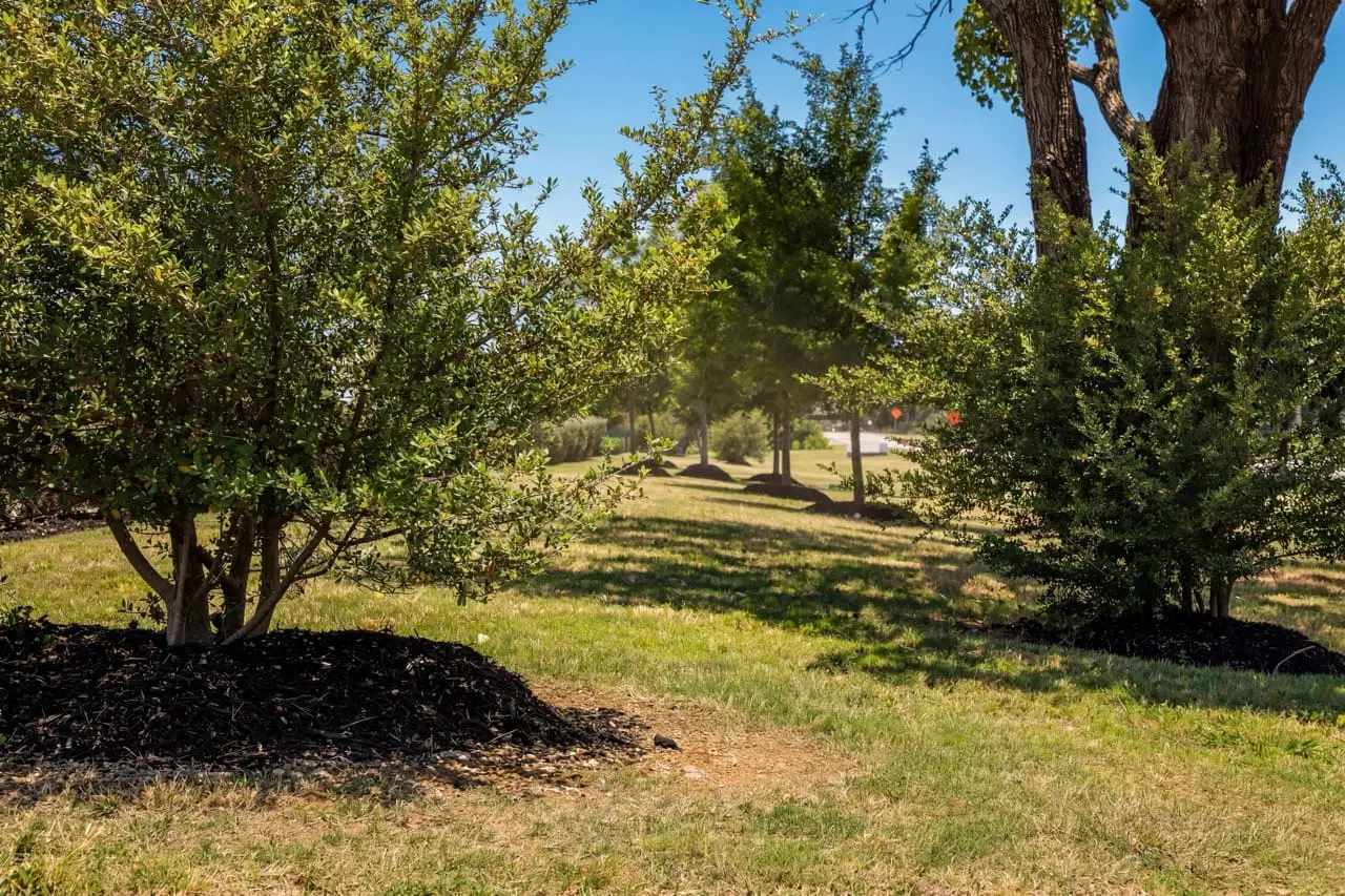 Commercial Landscaping Dallas: What Summer Heat Does to Your Turf