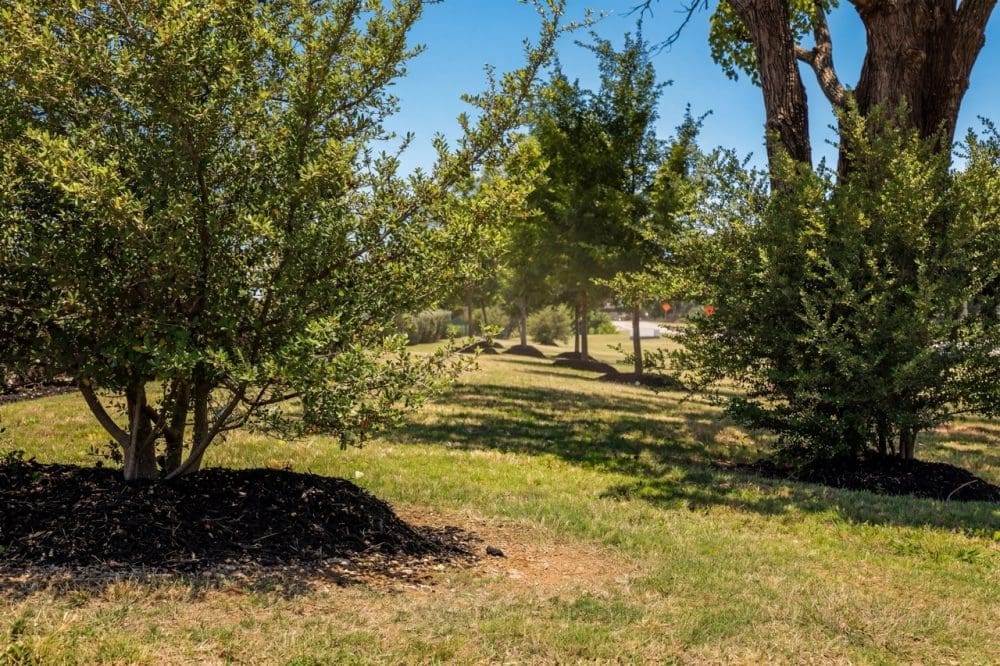 Commercial Landscaping Dallas: What Summer Heat Does to Your Turf